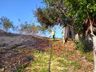 Bombeiros combatem incêndio em vegetação em Itapiranga 