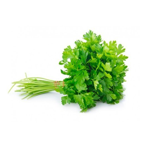 SALSA FRESCA UNID