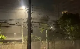 Temporal alaga ruas, arranca árvores e destrói carros em cidades de SC
