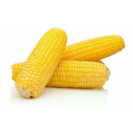 Milho Verde 700g Campo Vivo