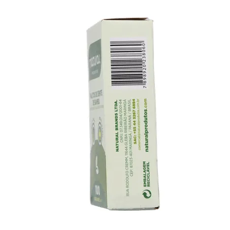 Palito dental natural bambu 100un 360-8