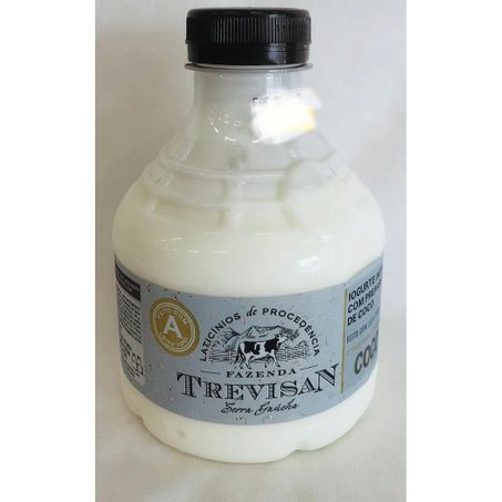Iogurte trevisan integral coco 500g