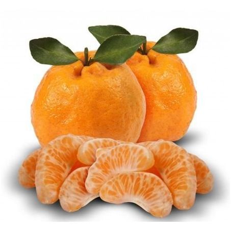 Laranja pocam kg