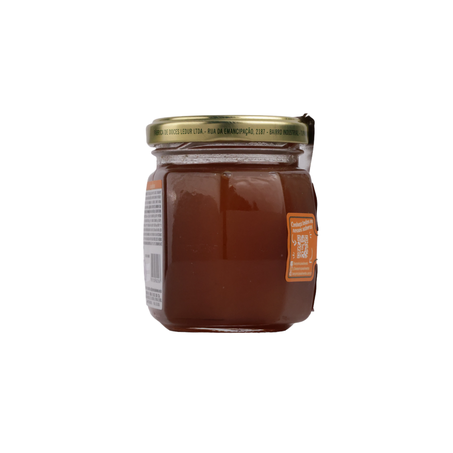 GELEIA TRADICIONAL DE PESSEGO 250G BOM PRINCIPIO 360-43