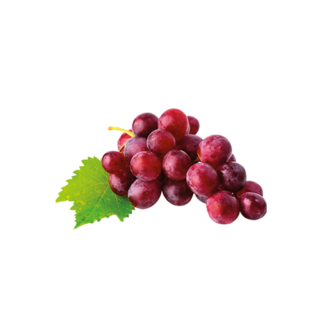 UVA BENETAKA KG