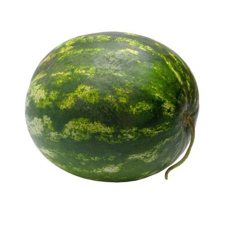 FRUTI MELANCIA