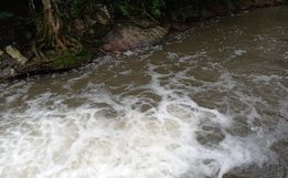 Poluição em rio pode causar falta de água em São João do Oeste