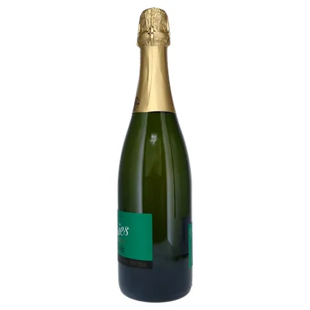 ESPUMANTE SALTON SERIES DEMI SEC 750ML 360-7