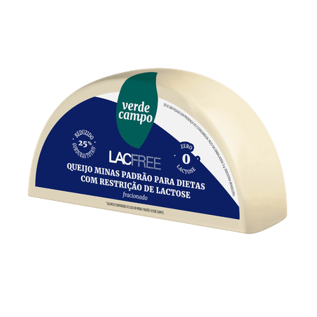 Queijo verde campo padrao lacfree 450g