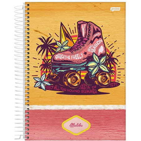 Escolar caderno jandaia cd mabilu 1m 96f
