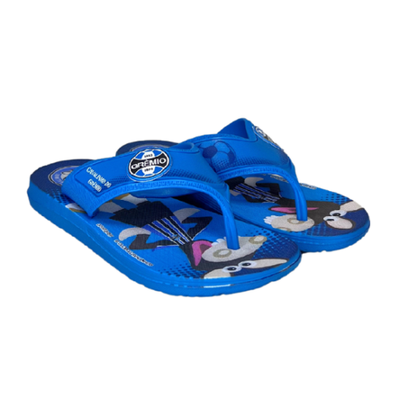 CHINELO IPANEMA CAVALINHO FANTASTICO AZUL N° 23/24