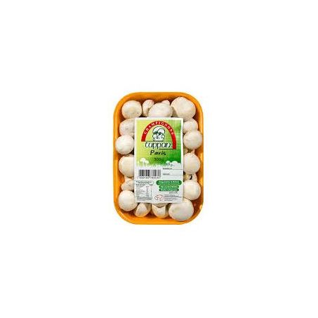 COGUMELOS PARIS TUPPAN 300G