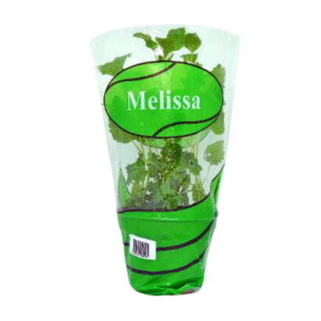 Melissa Unflor Melissa Un