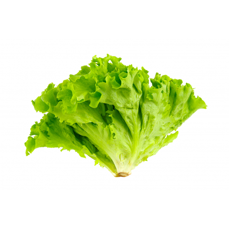 ALFACE CRESPA VER VERDE 150G