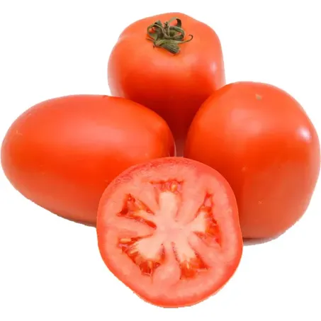 Tomate Saladete Kg 