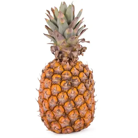 Doce Mel Abacaxi Ananas Gold Unidade