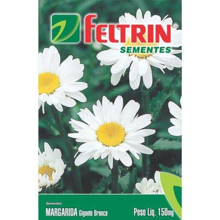 Sementes margarida gigante branca feltrin