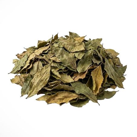 ESPINHEIRA SANTA FOLHA 100G