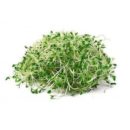 Brotos alfafa 100g