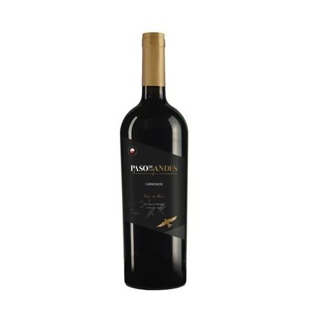 Vinho paso de los andes carm 750ml