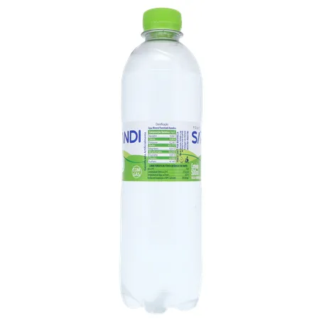 Água Mineral Sarandi Com Gás 500ml 360-3