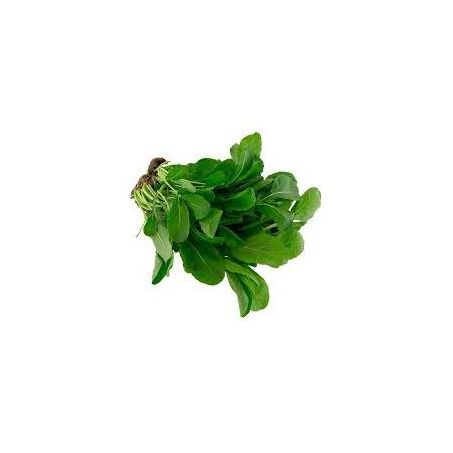 Rúcula Vida Verde hidropônica un