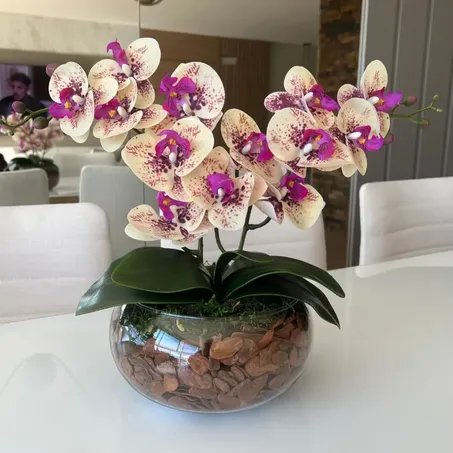 ARRANJO ORQUIDEA VARIAD UN 