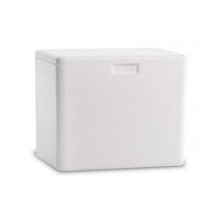 Caixa termica original 12l