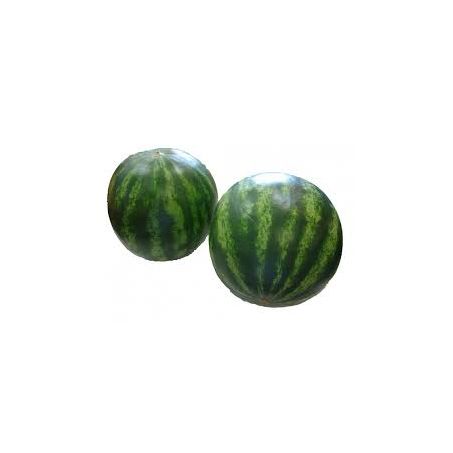 Melancia baby kg - peso aproximado da un 1,5 kg