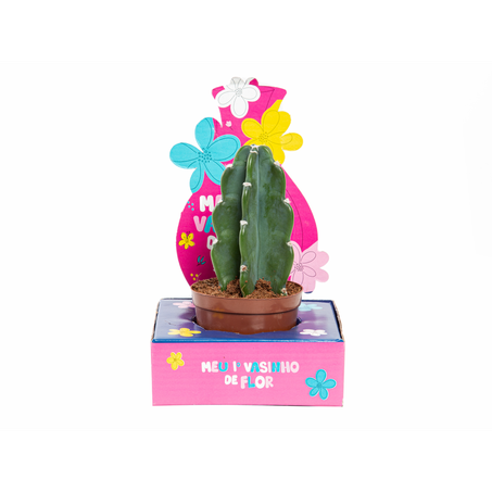 Cactus Mandacaru sem Espinhos Kids P9