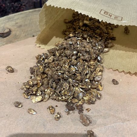 Granola nutri e vida c/chocolate o kg