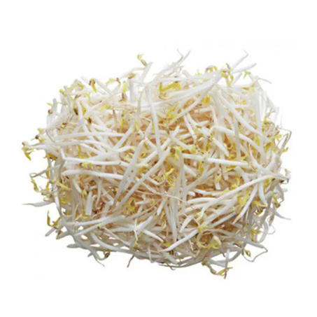 MOYASHI 500G
