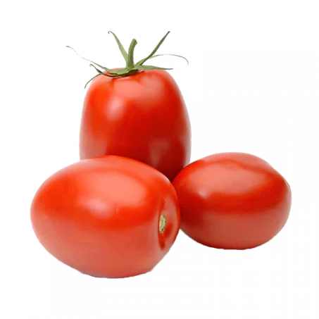 Tomate italiano kg