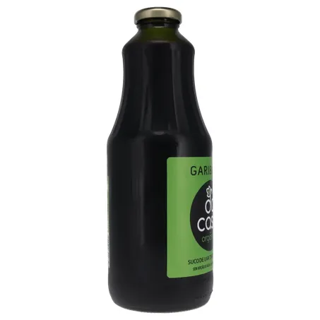 SUCO DA CASA ORGANICO GFA 1L 360-29
