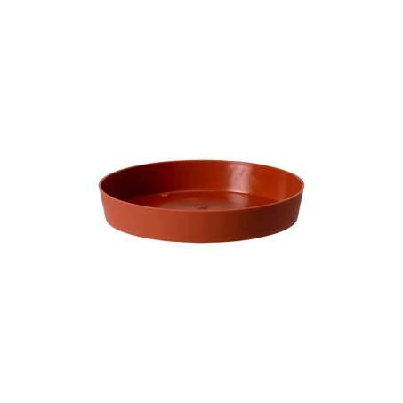 Prato Veneza Terracota 12Cm