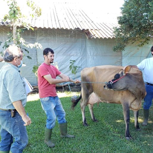 Empresa de São Paulo fará leilão de animais de produtores da região