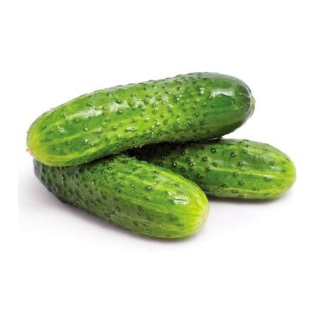 Hort pepino kg