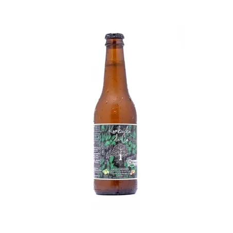 Bebida Kombucha da Cá Limão com Gengibre 365ml