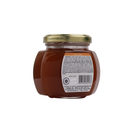 GELEIA TRADICIONAL DE PESSEGO 250G BOM PRINCIPIO 360-25