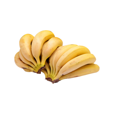 cocoページ cocoページ coco＊＊です Coco♪ Mrs. Coco by Zx on Amazon Music