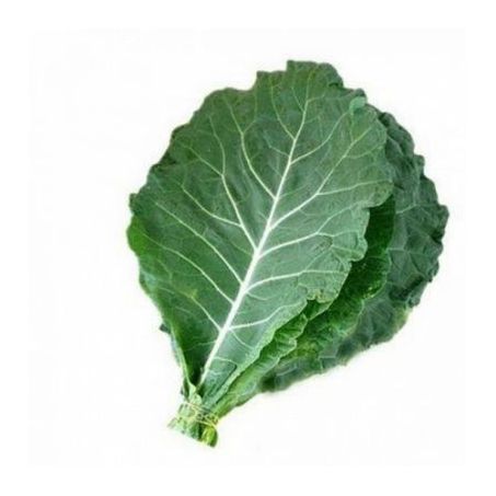 Couve verde Sinval