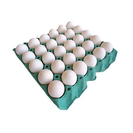 Ovos brancos real agro grande bandeja c/ 30 ovos