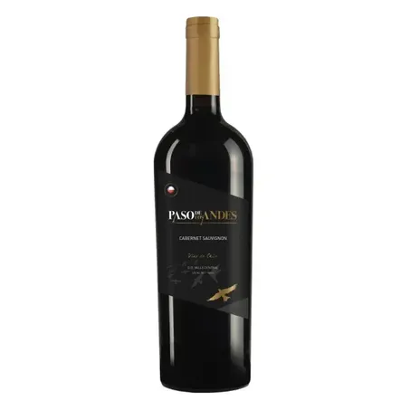 Vinho paso de los andes 750ml cabernet s