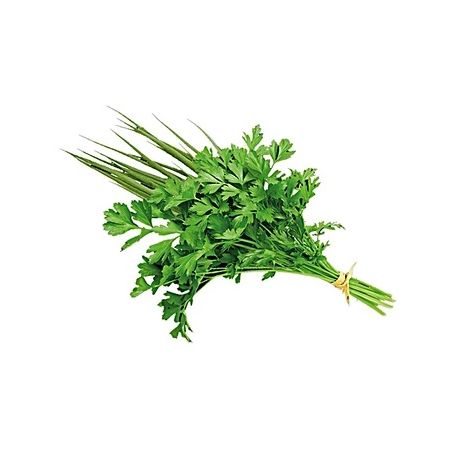 Cheiro Verde Cezaro Un Rl