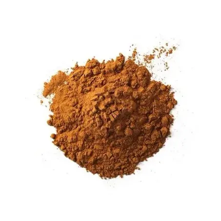 CANELA EM PO 100G