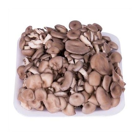 Cogumelo Shimeji Preto 200g Takoish