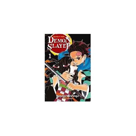 Livro - demon slayer: kimetsu no yaiba volume 1
