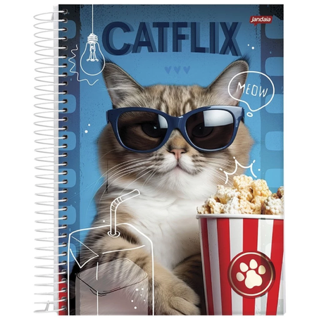 CADERNO ESPIRAL JANDAIA PET 1X1 80 FOLHAS