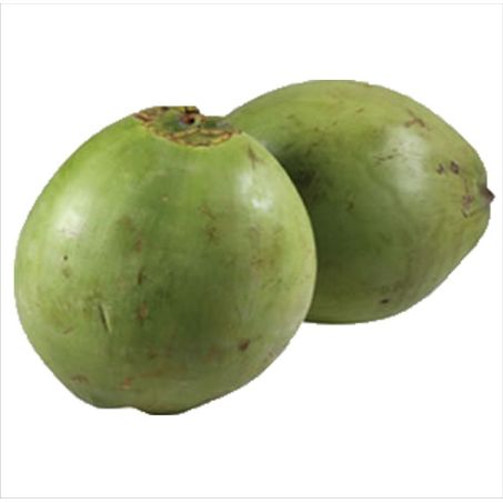 COCO VERDE UND