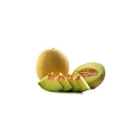 FRUTI MELÃO GALIA